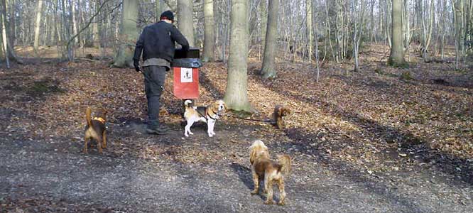 Disposing of dog poo