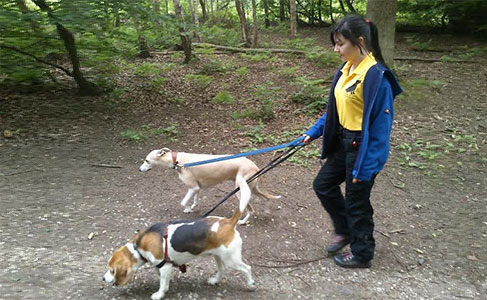 Dog walker