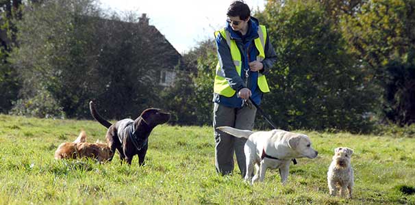Dog walker