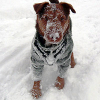 Winter Warmers